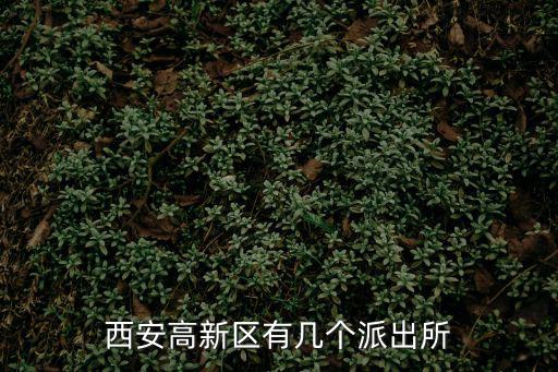 西安高新區有幾個派出所
