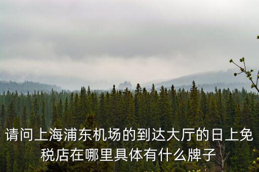 請問上海浦東機場的到達大廳的日上免稅店在哪里具體有什么牌子