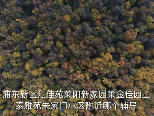 浦東新區(qū)匯佳苑萊陽新家園萊金佳園上泰雅苑朱家門小區(qū)附近哪個輔導