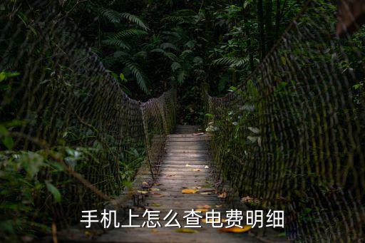 如何查電費明細，怎樣查詢我家電費單