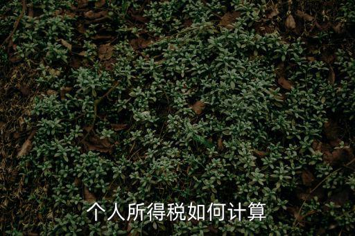 個人所得稅如何計(jì)算