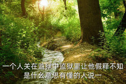什么是假釋，一個(gè)人關(guān)在監(jiān)獄中監(jiān)獄里讓他假釋不知是什幺意思有懂的人說(shuō)一