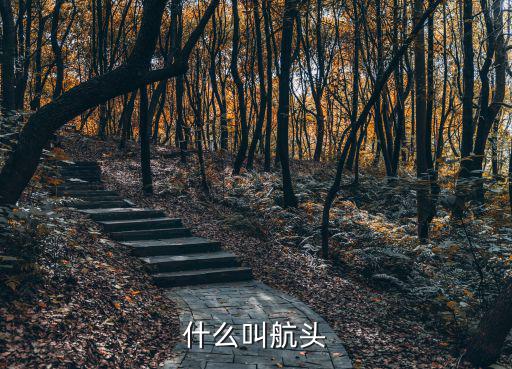 什么叫航頭