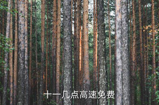 十一幾點(diǎn)高速免費(fèi)