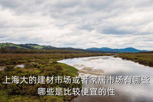 上海大的建材市場或者家居市場有哪些哪些是比較便宜的性
