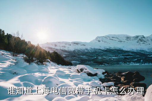 上海電信吧，上海電信的待遇好還是上海移動的待遇好啊