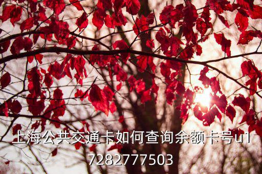 上海公共交通卡如何查詢余額卡號(hào)u17282777503