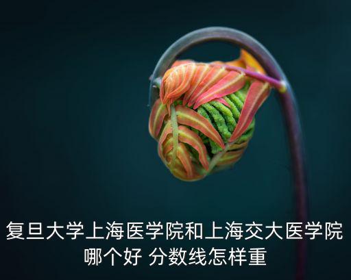 上海復旦醫學院，上海復旦醫科大學