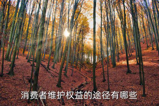 消費者維權，消費者維護權益的途徑有哪些