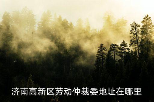 濟南高新區勞動仲裁委地址在哪里