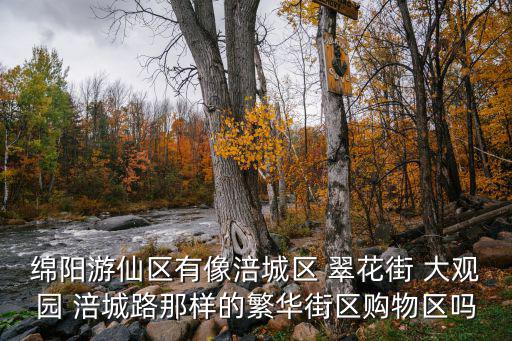 綿陽(yáng)游仙區(qū)有像涪城區(qū) 翠花街 大觀園 涪城路那樣的繁華街區(qū)購(gòu)物區(qū)嗎