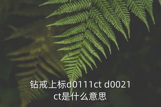 鉆戒上標d0111ct d0021ct是什么意思