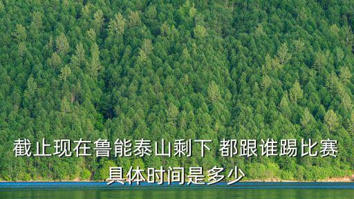 魯能泰山賽程，2008下半年山東魯能泰山隊賽程表