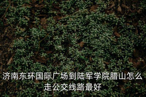 濟南東環國際廣場到陸軍學院臘山怎么走公交線路最好