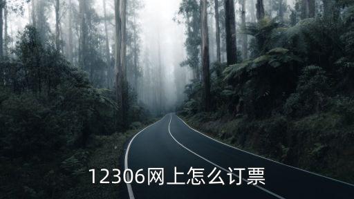 12306網上怎么訂票