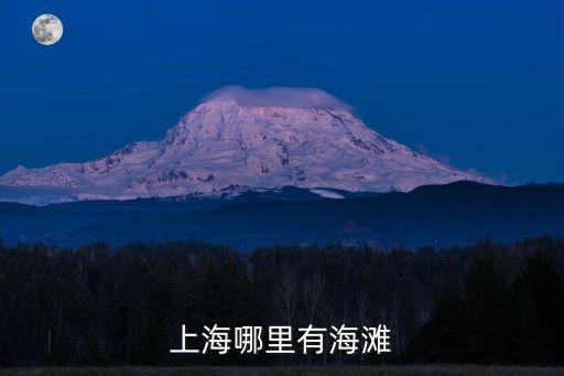 上海海邊，現在上海有哪些海灘
