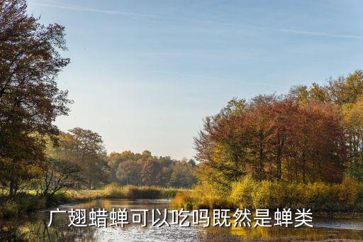 廣翅蠟蟬，今天在山上看到一種奇怪的蟲子依附在枯葉的葉脈上不知是什么蟲