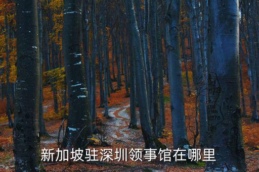 新加坡駐深圳領事館在哪里