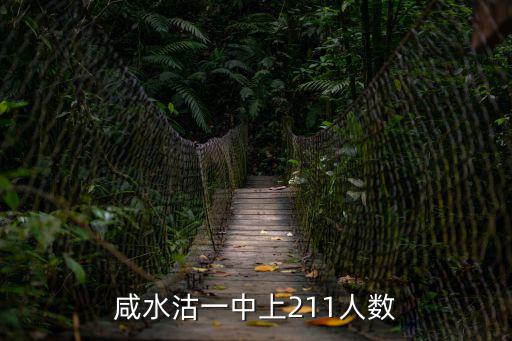 咸水沽一中，咸水沽一中上211人數