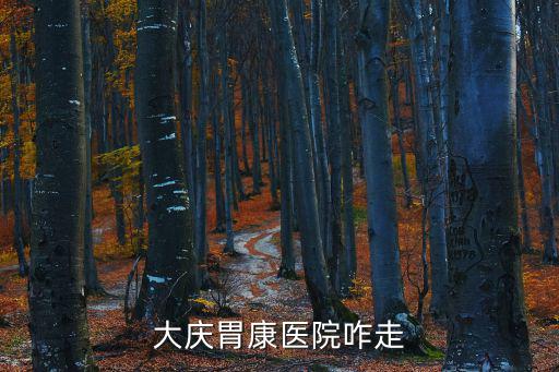 大慶胃康醫(yī)院咋走