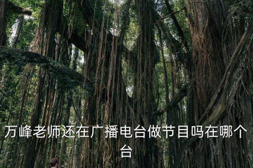 萬峰老師還在廣播電臺做節目嗎在哪個臺