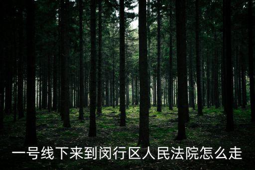 閔行區(qū)人民法院，一號(hào)線下來到閔行區(qū)人民法院怎么走