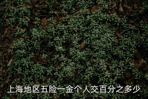 上海地區五險一金個人交百分之多少