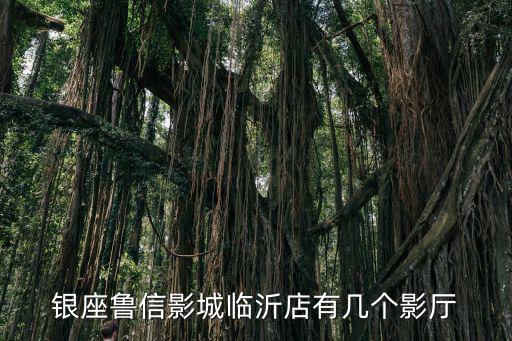銀座魯信影城臨沂店有幾個影廳