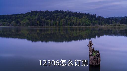 12306怎么訂票