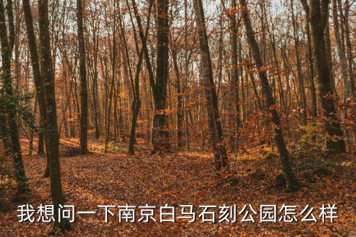 白馬公園，白馬公園在哪兒