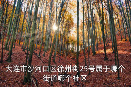 大連市沙河口區(qū)徐州街25號屬于哪個(gè)街道哪個(gè)社區(qū)