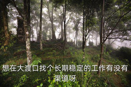 大渡口招聘，求重慶市大渡口區(qū)招聘信息