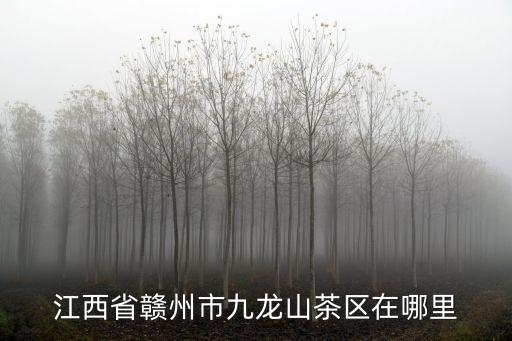 江西省贛州市九龍山茶區在哪里