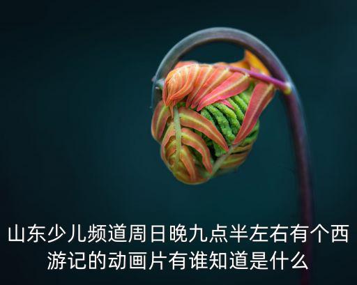 山東少兒頻道，山東少兒頻道的丫丫主持的節(jié)目叫什么