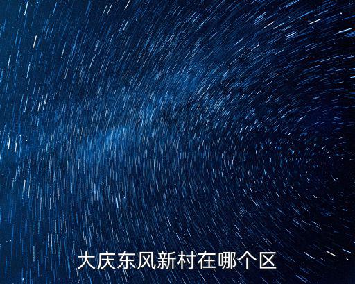 大慶東風新村在哪個區