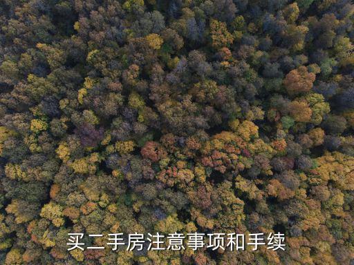 買二手房注意事項和手續(xù)