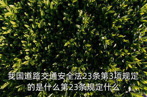 我國(guó)道路交通安全法23條第3項(xiàng)規(guī)定的是什么第23條規(guī)定什么