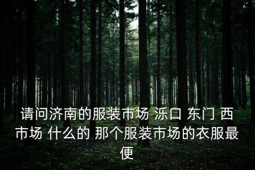 請問濟(jì)南的服裝市場 濼口 東門 西市場 什么的 那個服裝市場的衣服最便