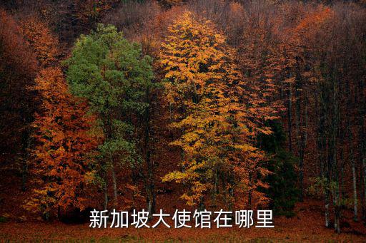 新加坡大使館在哪里