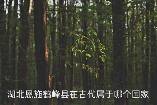 湖北恩施鶴峰縣在古代屬于哪個國家