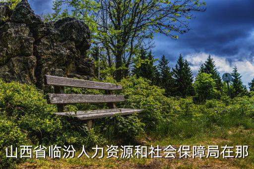 山西省臨汾人力資源和社會保障局在那