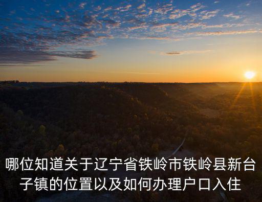 哪位知道關于遼寧省鐵嶺市鐵嶺縣新臺子鎮的位置以及如何辦理戶口入住