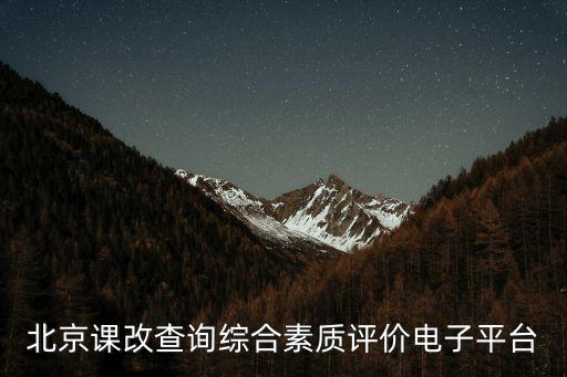 綜合素質(zhì)評價(jià)平臺登錄，綜合素質(zhì)評價(jià)