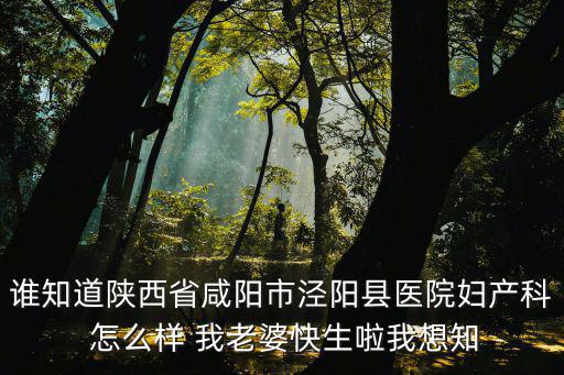 誰知道陜西省咸陽市涇陽縣醫院婦產科 怎么樣 我老婆快生啦我想知
