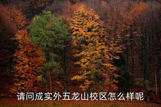 請問成實外五龍山校區怎么樣呢