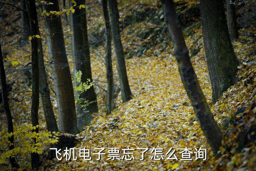 查詢電子客票，機票電子客票怎么查