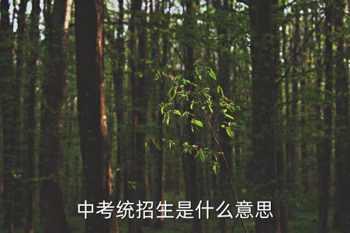 中考統(tǒng)招生是什么意思