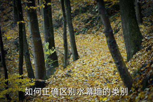 光纖水幕，有沒有會做光纖水幕墻的