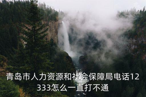 12333人力資源社會(huì)保障，人力資源和社會(huì)保障自助