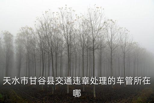 天水市公安局，杭州天水派出所的具體工作時間